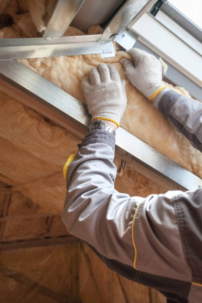 Best Insulation for New Construction  in South Shore, KY