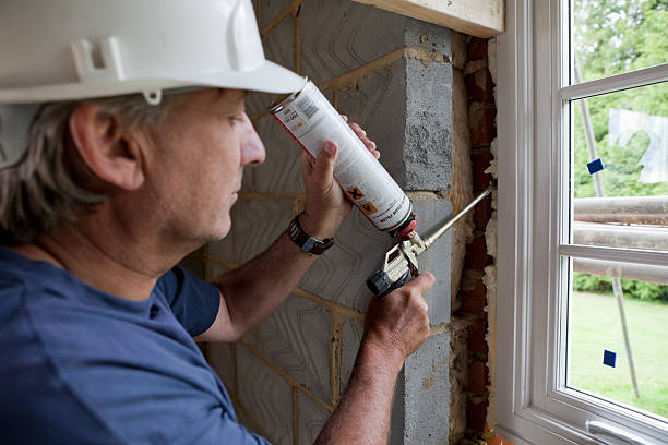 Best Insulation Replacement Services  in South Shore, KY